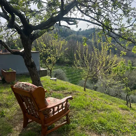 Cavana Rudere Feriehus Trebiano